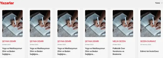 Yazarlar modülünün 12 sütun · Tam genişlik grubundaki gerçek görünümü
