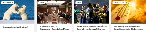 Kutu Haber modülünün 12 sütun · Tam genişlik grubundaki gerçek görünümü