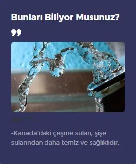 Bunları Biliyor musunuz? modülünün 3 sütun · Kompakt alan grubundaki gerçek görünümü