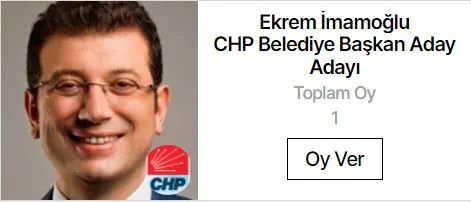 Adaylar · Yatay modülünün 4 sütun · Üçlü düzen grubundaki gerçek görünümü