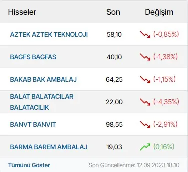 Borsa Hisseleri modülünün 4 sütun · Üçlü düzen grubundaki gerçek görünümü