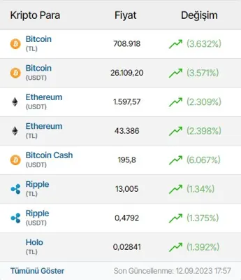 Kripto Para Göstergesi modülünün 4 sütun · Üçlü düzen grubundaki gerçek görünümü