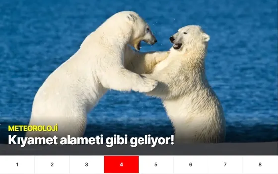 İçerik Galerisi modülünün Haber detayı modülleri grubundaki gerçek görünümü