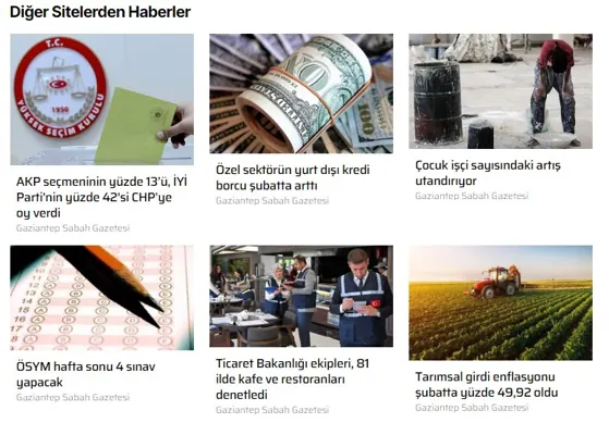 Diğer Site Haberleri modülünün Haber detayı modülleri grubundaki gerçek görünümü