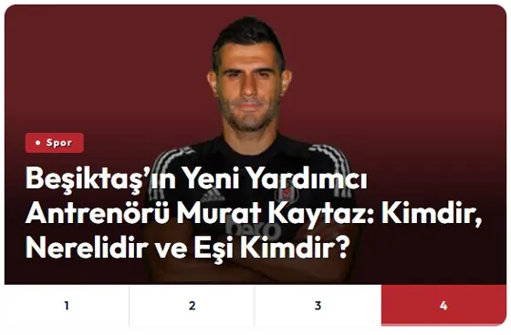 İçerik Galerisi · V6 modülünün Ortak modüller grubundaki gerçek görünümü