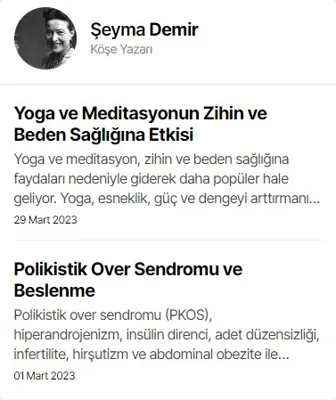 Yan Sütun Yazarlar · V1 modülünün Ortak modüller grubundaki gerçek görünümü