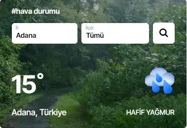Hava Durumu modülünün Yan sütun modülleri grubundaki gerçek görünümü